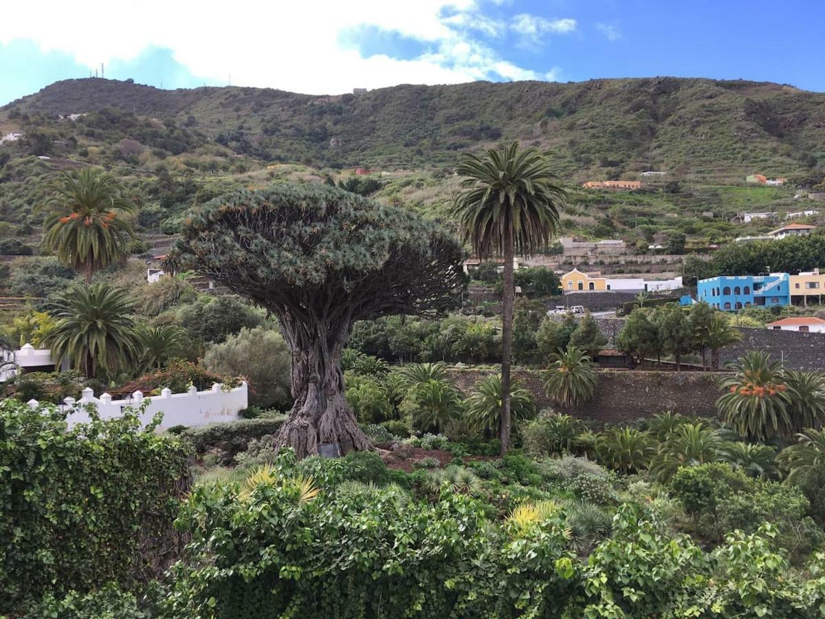 #Ocean View Studio #Wifi Икод-де-лос-Винос Экстерьер фото